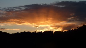 Romantisch: Sonnenuntergang im dunklen Tann des Schwarzwalds.