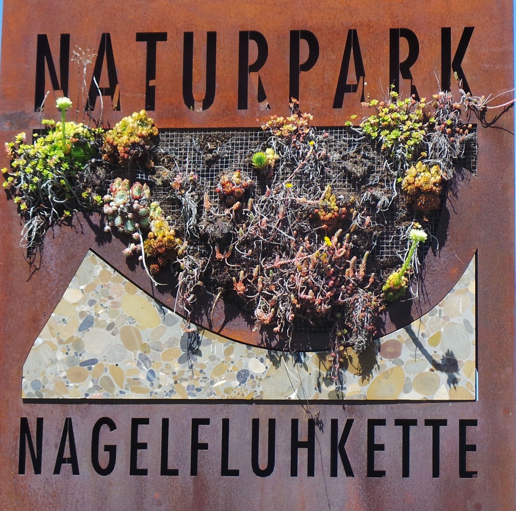 "Am Riedberger Horn entscheidet sich, welche Rolle der Naturpark Nagelfluhkette in Zukunft spielt. 
