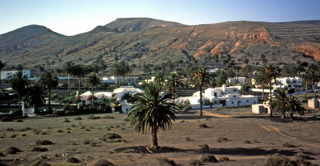 Lanzarote, Tal der 1000 Palmen