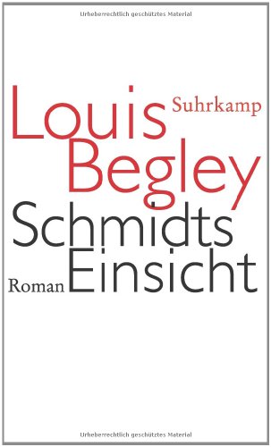 Schmidts Einsicht. Roman